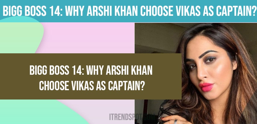 Bigg Boss 14 Why arshi khan choose vikas as captain