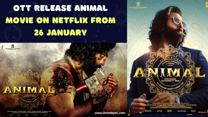 OTT Release Animal Movie on Netflix From 26 January